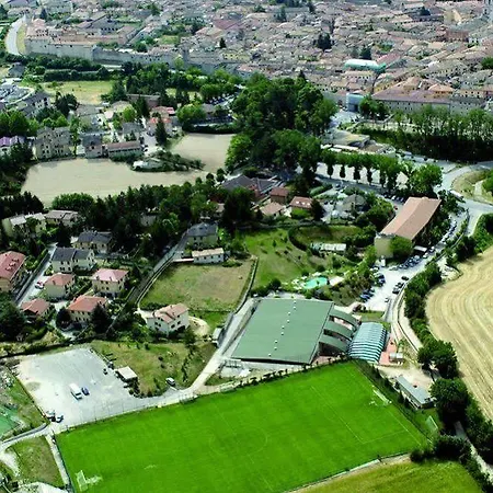 Western Salicone